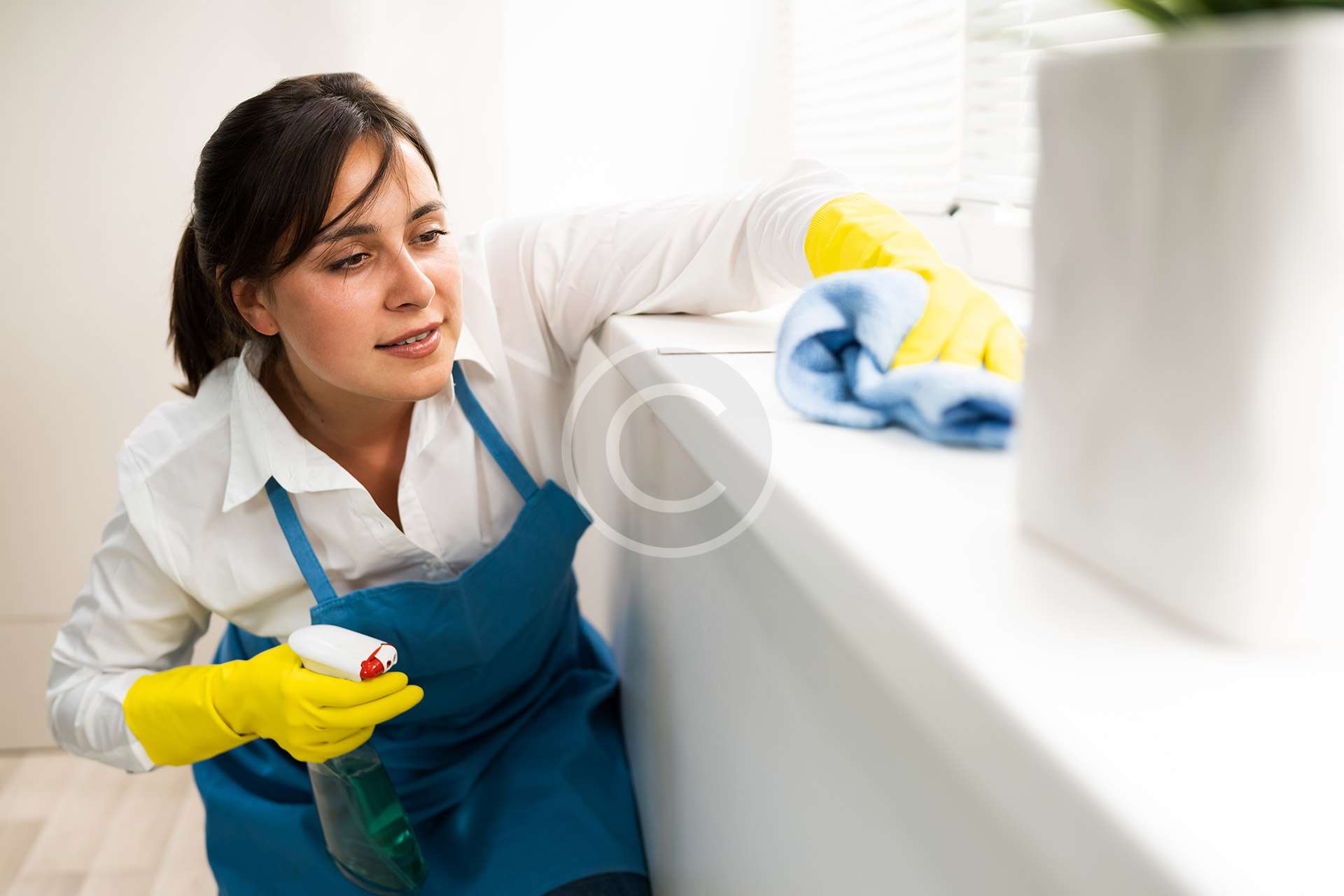 Bathroom Cleaning